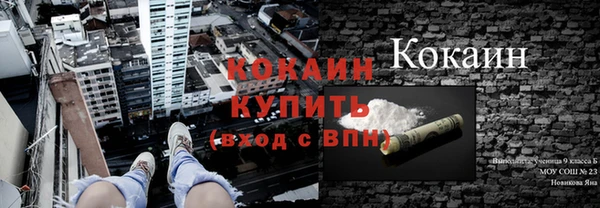соль ск Алзамай